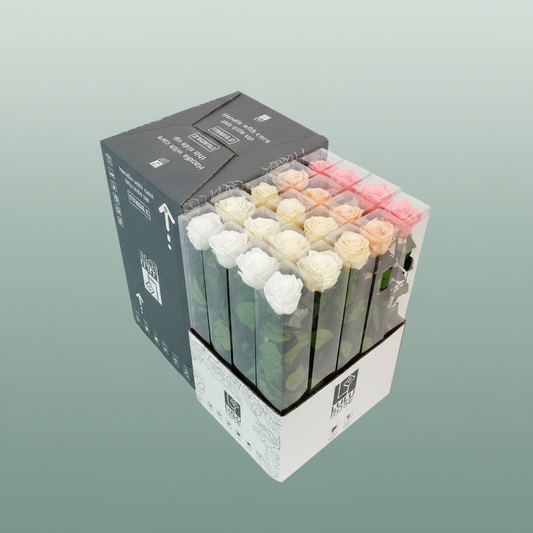 Rose Preserved Stem Rainbow Mix Sunset Pink