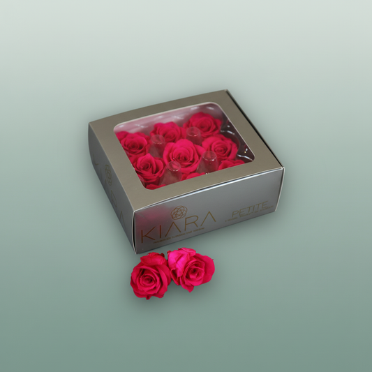 Rose Preserved Hot Pink Petite
