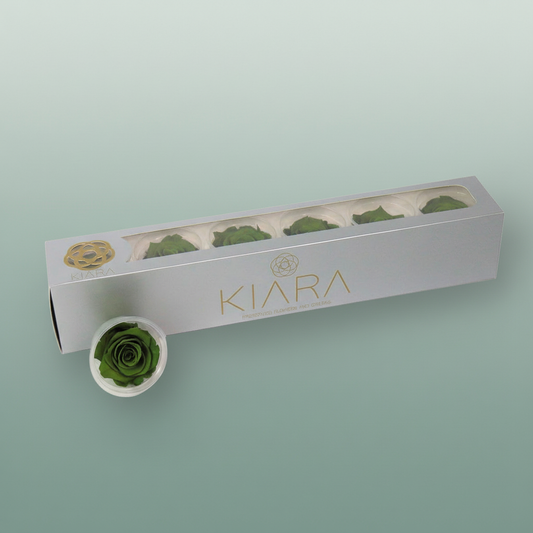 Rosa Preserved Emerald Green