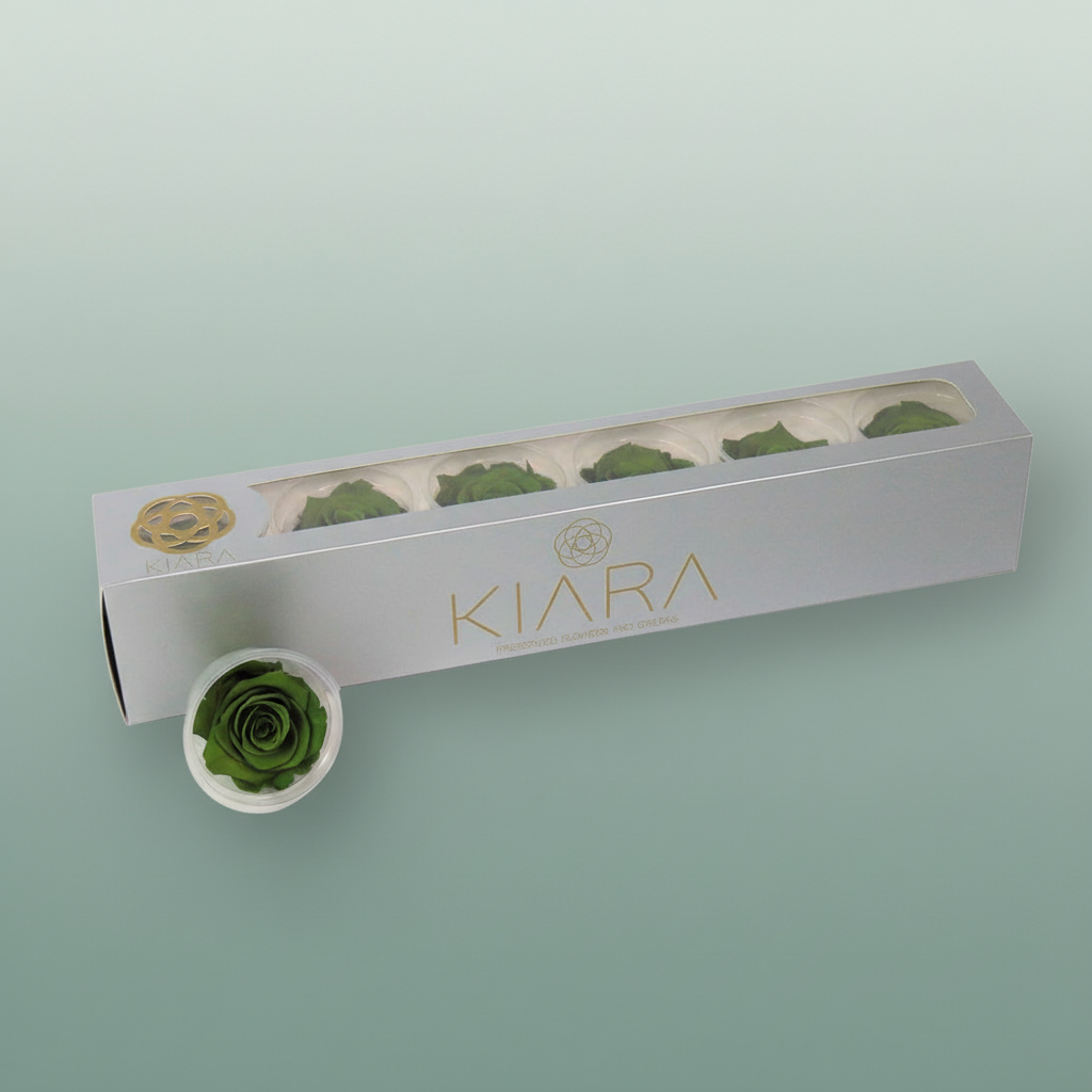 Rosa Preserved Emerald Green