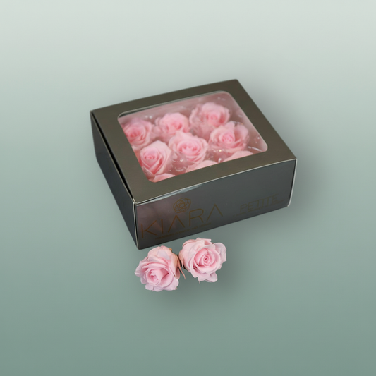 Rose Preserved Bridal Pink Petite