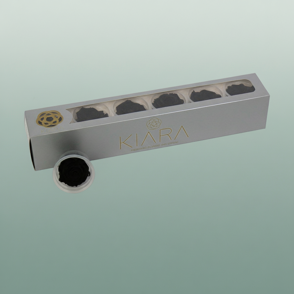 Rose Preserved Black Beauty