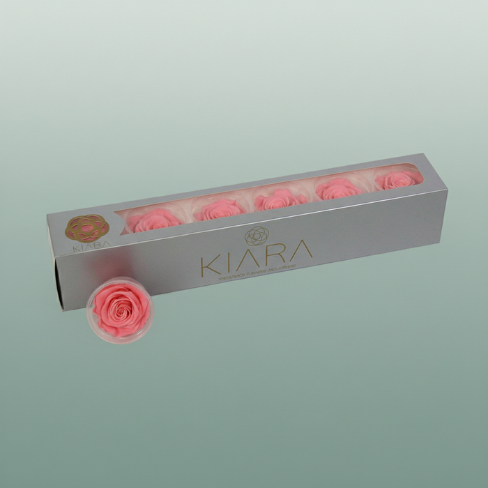 Rose Preserved Baby Pink
