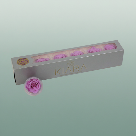 Rose Preserved Baby Lily