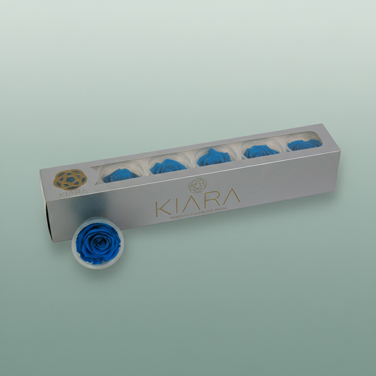 Rose Preserved Aquamarine