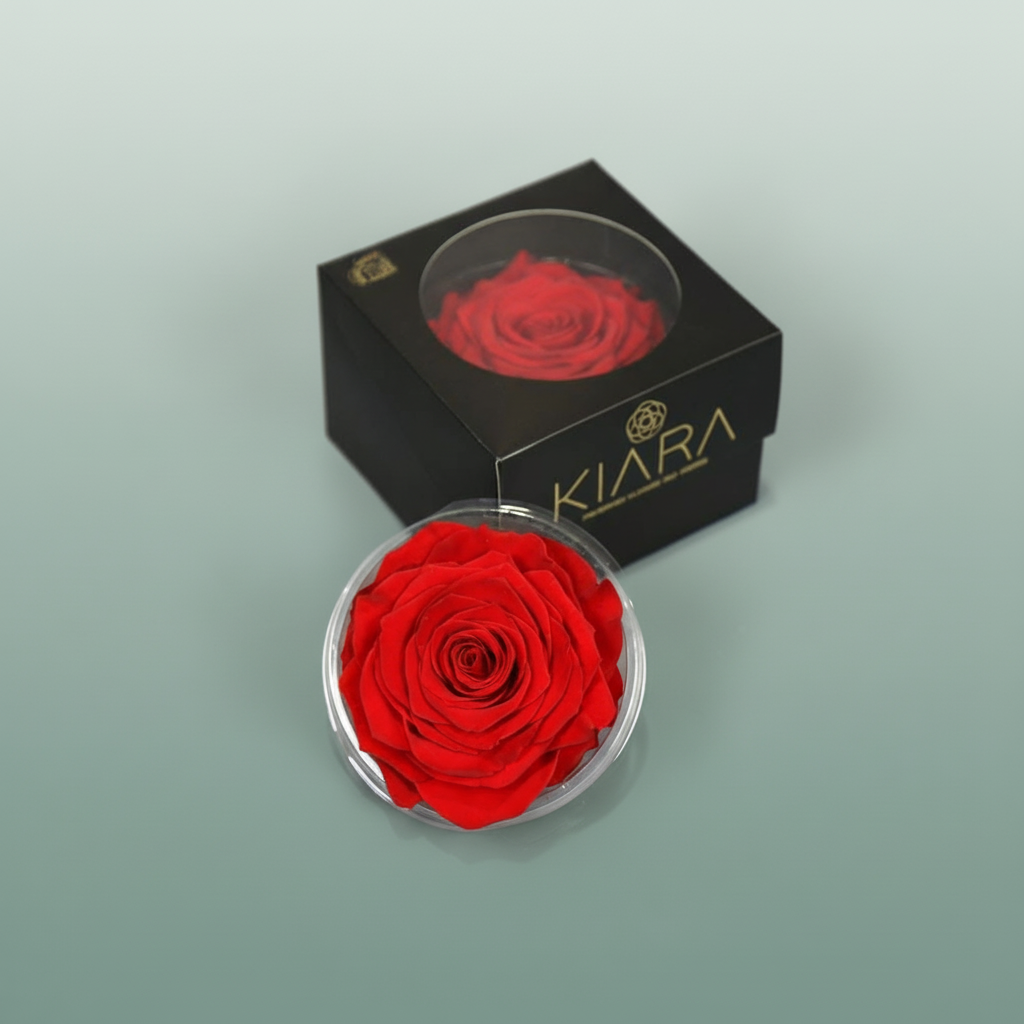 Rose Preserved Vibrant Red Solitarie