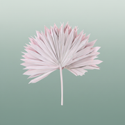 Dried Palm Sun Light Pink