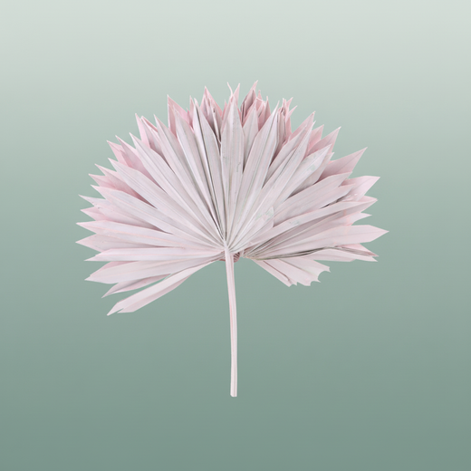 Dried Palm Sun Light Pink