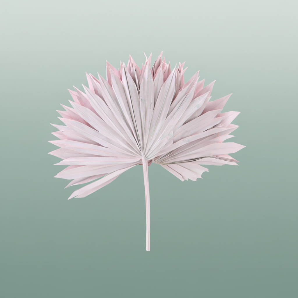 Dried Palm Sun Light Pink