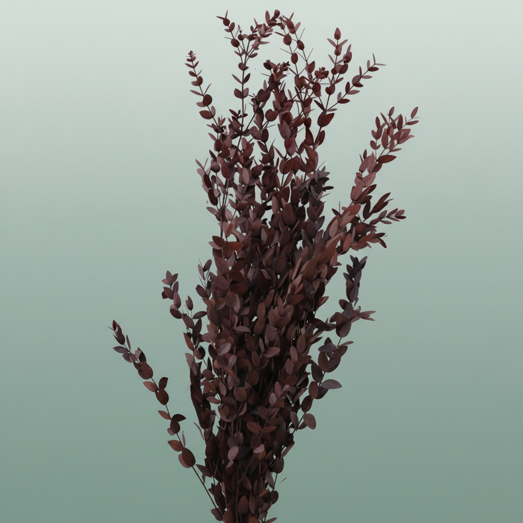 Pres Eucalyptus Parvifoglia Red