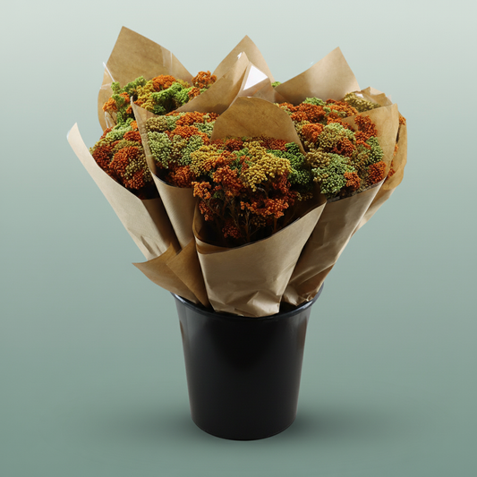 Dried Bouquett Riceflower Mix Pastel