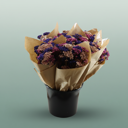 Dried Bouquett Riceflower Mix Purple