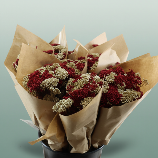 Dried Bouquett Riceflower Mix Red