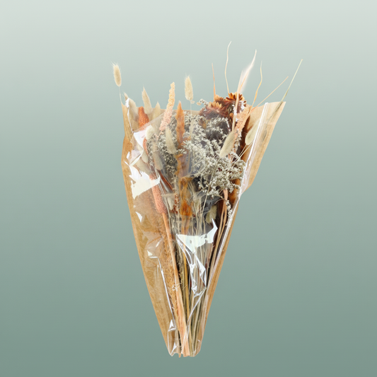Dried Bouquet Zaragoza