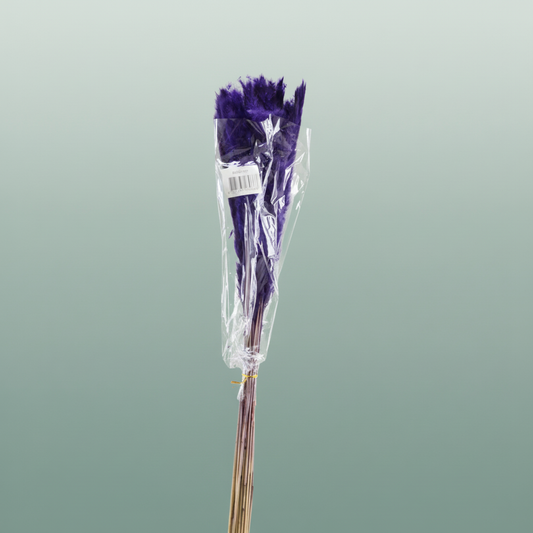 Dried Fluffy Pampas Purple