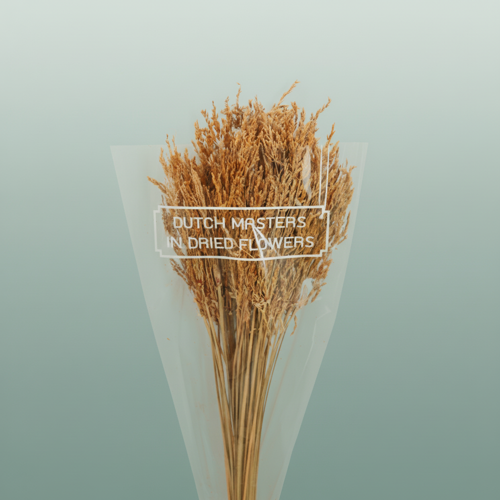 Dried Umbr. Sedge Sm. Leaf Natural