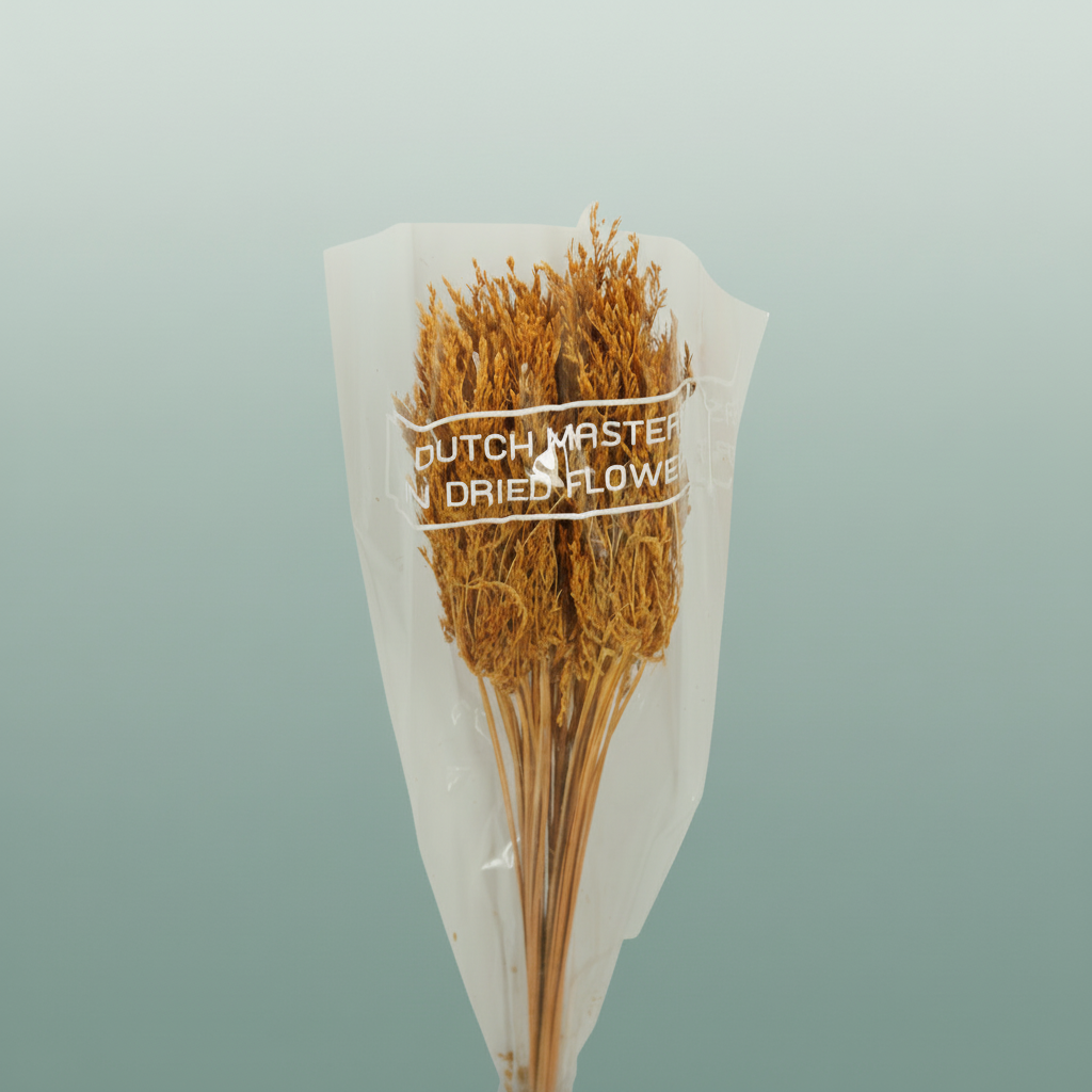 Dried Umbr. Sedge Sm. Leaf Yellow