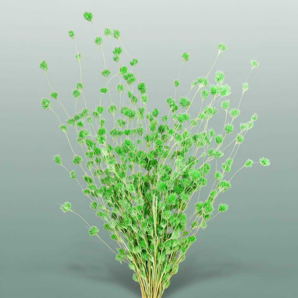 Dried Wheep. Bamboo Green