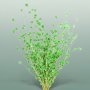 Dried Wheep. Bamboo Green
