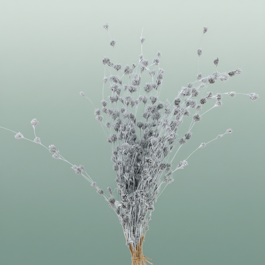 Dried Wheep Bamboo Silver