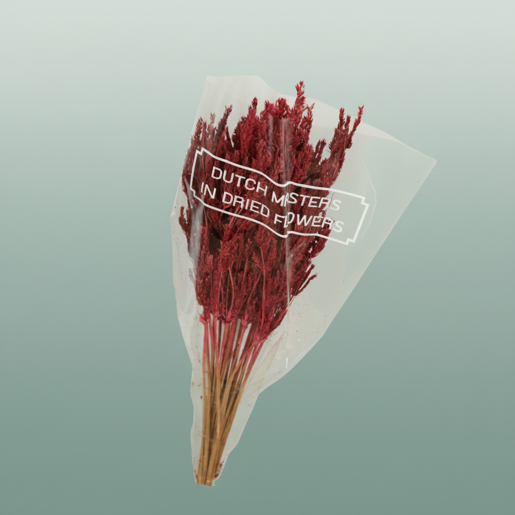 Dried Umbr. Sedge Big Leaf Pink