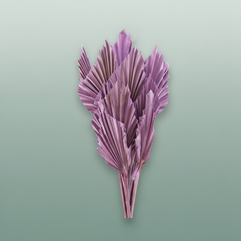 Dried Palm Spear Milka