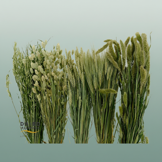 Dried Wheat Mix