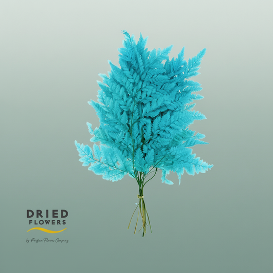 Dried Bleached Leatherleaf Blue