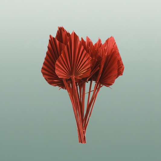 Dried Palm Spear Small Red