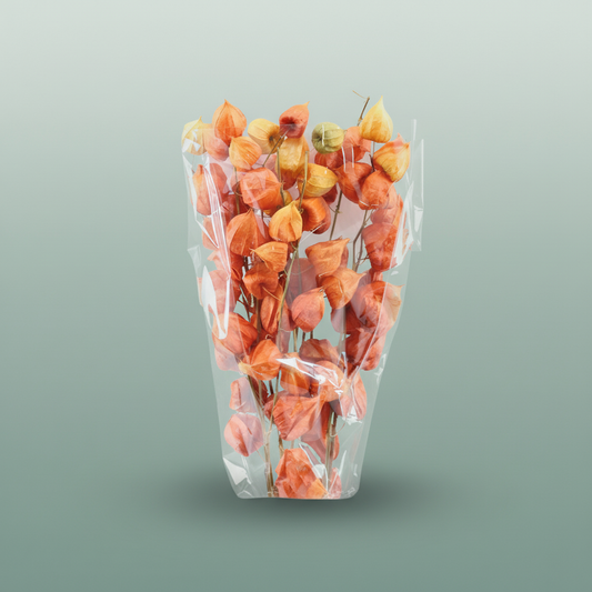Dried Physalis Orange Natural
