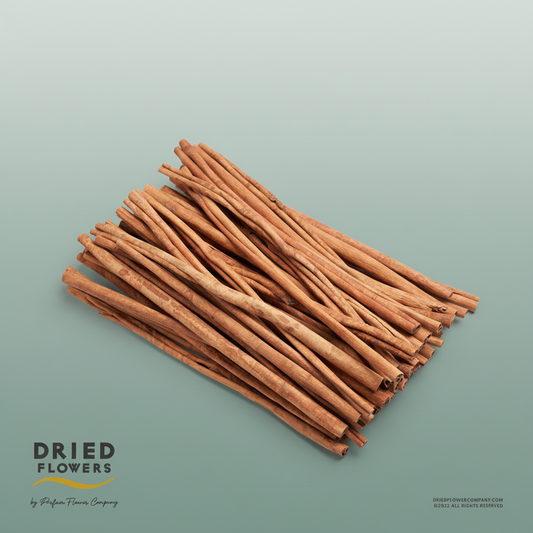 Dried Deco Cinnamon Sticks