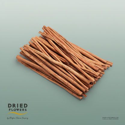Dried Deco Cinnamon Sticks