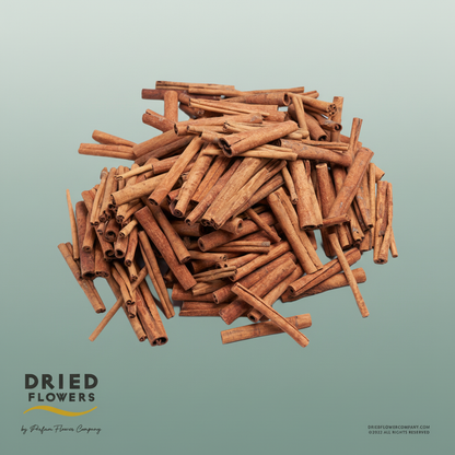 Dried Deco Cinnamon Sticks