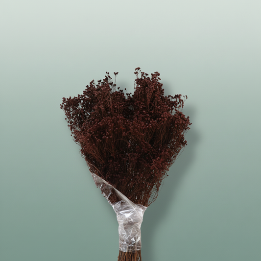 Dried Brooms D. Brown