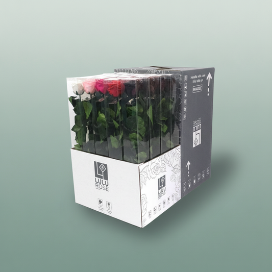 Rose Preserved Stem Rainbow Pastel Mix