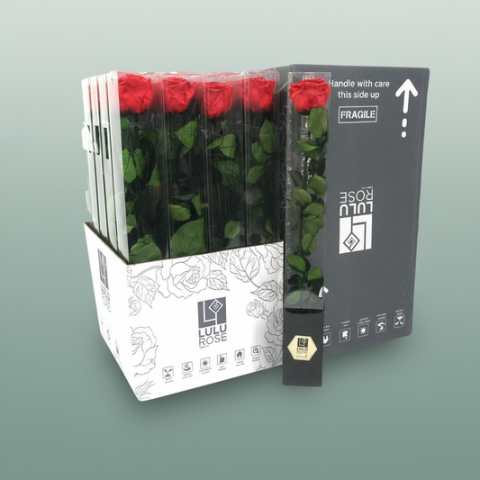 Rose Preserved Stem Passionate Red