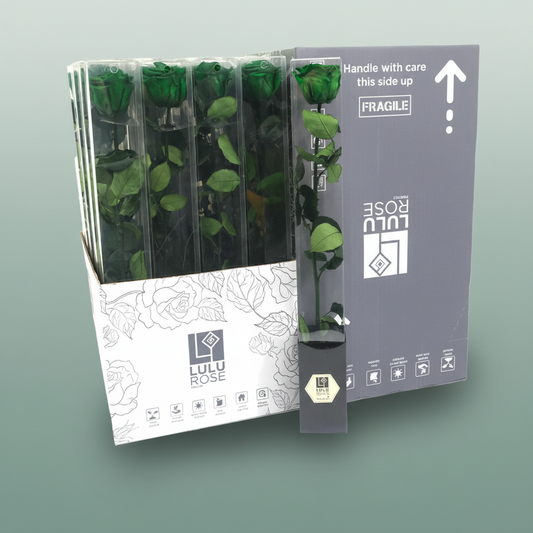 Rosa Preserved Exquisite Green