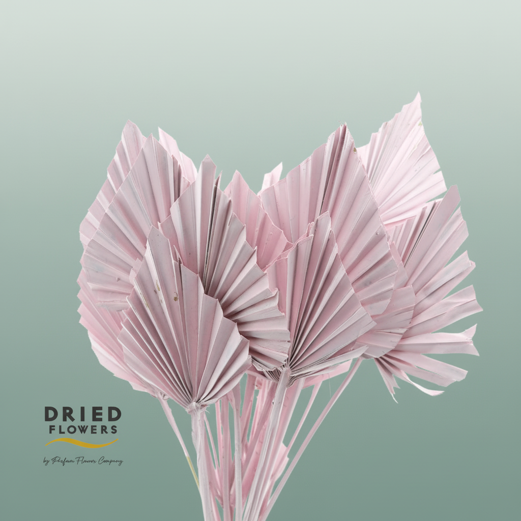 Dried Palm Spear Small Light Pink