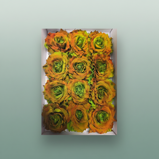 Rose Preserved Rosem Brassica Rosese