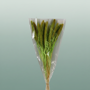 Dried Setaria Italica Light Green