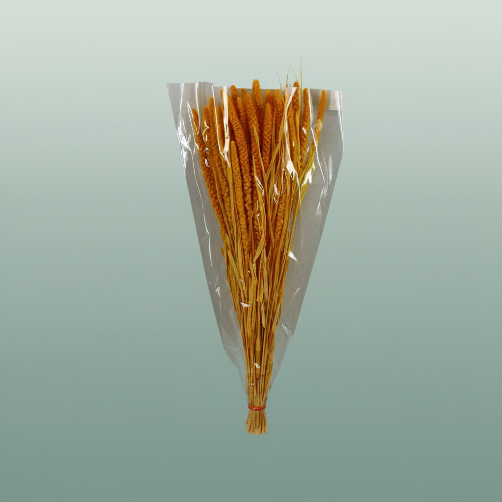 Dried Setaria Italica Yellow