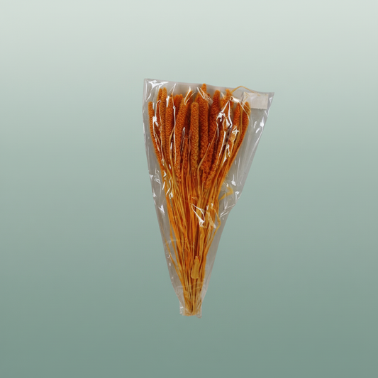 Dried Setaria Italica Apricot
