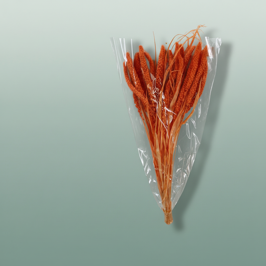 Dried Setaria Italica Salmon