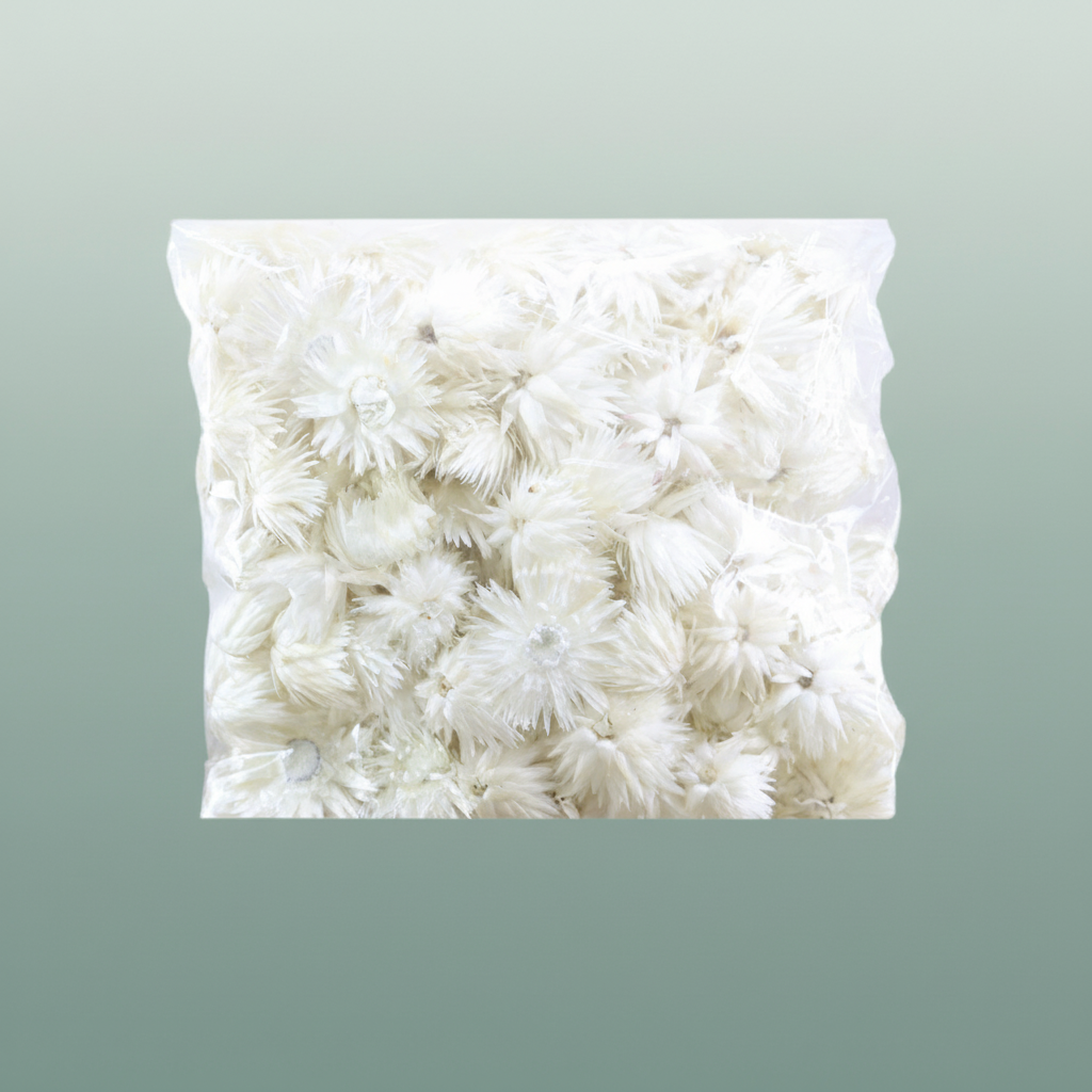 Basic Capblumen Heads