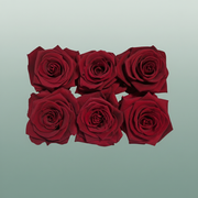 Rose Preserved Classic Red