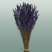 Pres Lavendel Dark Blue Super