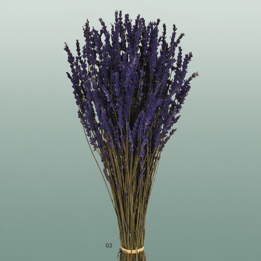 Pres Lavendel Dark Blue Super