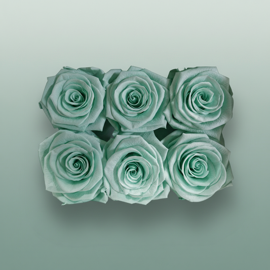 Rose Preserved Classic Green Mint