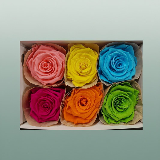 Rose Preserved Classic Mix Carnaval