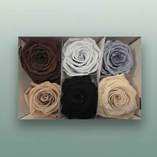 Rose Preserved Classic Mix Earth